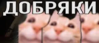 Стикер test PUP - 0