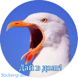 Sticker PUSSY_MONEY_WEED - 1