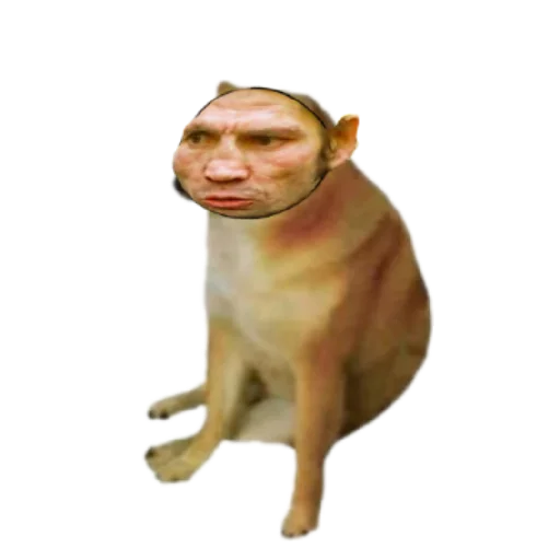 Стикер PVZDich - 1