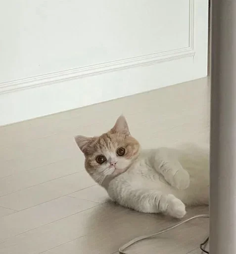 Sticker PWNUPTK_by_stikers_du_ark_bot - 1