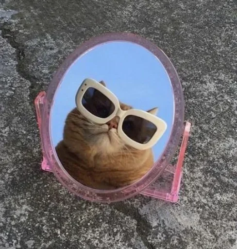 Sticker PWNUPTK_by_stikers_du_ark_bot - 1