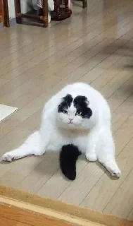 Стикер @sticksbb <— больше стиков💓💘💞 - 8