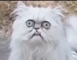 Стикер @sticksbb <— больше стиков💓💘💞 - 1