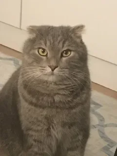 Стикер @sticksbb <— больше стиков💓💘💞 - 3