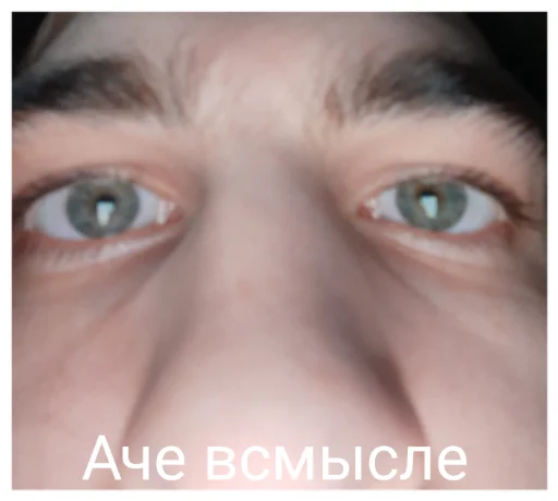 closeup eyelash eyes