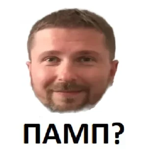 Sticker Pump or Dump or Ban - 0