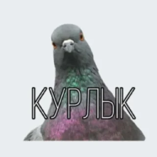 Стикер Pablo - 9