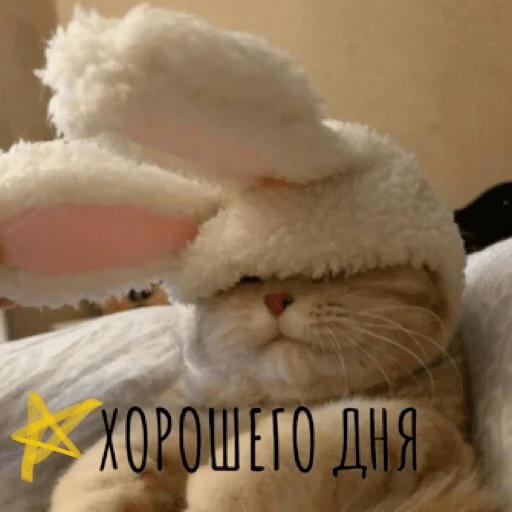 Стикер Pacifist - 1