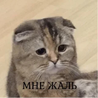 Стикер pacifist - 2