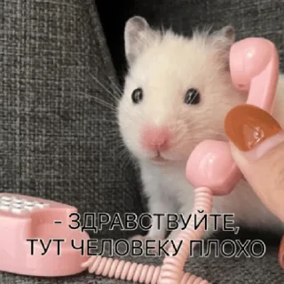 Стикер pacifist - 10