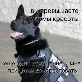 Стикер pacifist - 5