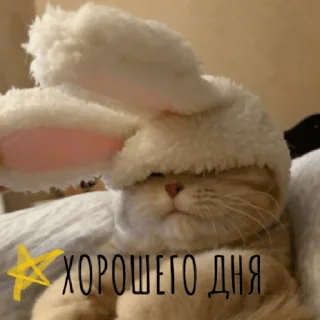 Стикер pacifist - 8