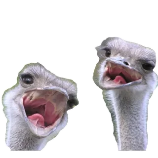 Стикер END - 11