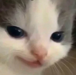 Стикер pack - 0