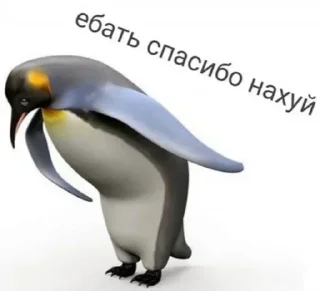 Стикер pack - 9