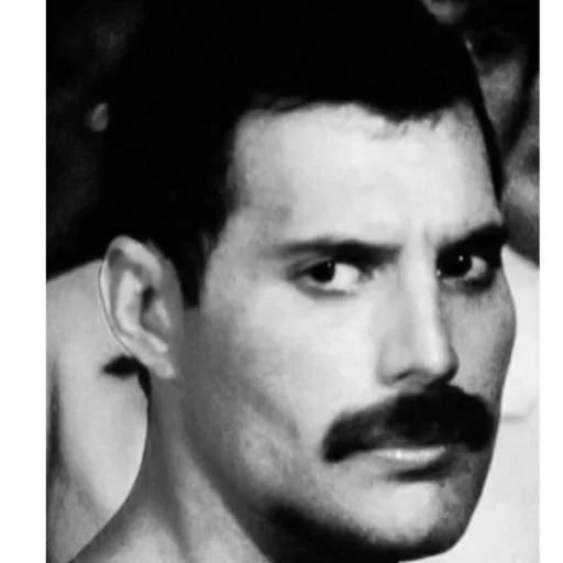 Фредди❣️ - человеческое лицо