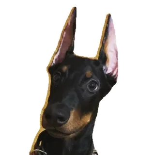 Стикер END - 8