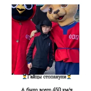 Sticker Шамильяна - 0