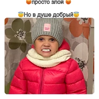 Sticker Шамильяна - 6