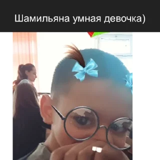 Sticker Шамильяна - 7