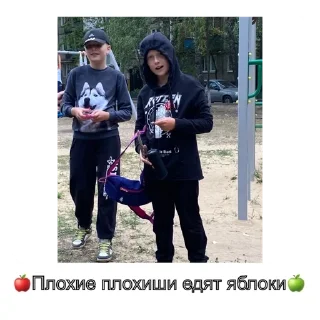 Sticker Шамильяна - 1