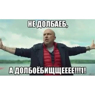 Sticker Шамильяна - 2