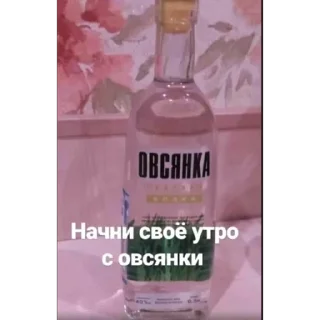 Sticker Шамильяна - 4