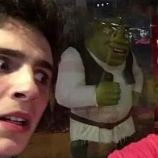 Timmy Chalament 🦕💨💞 - человеческое лицо