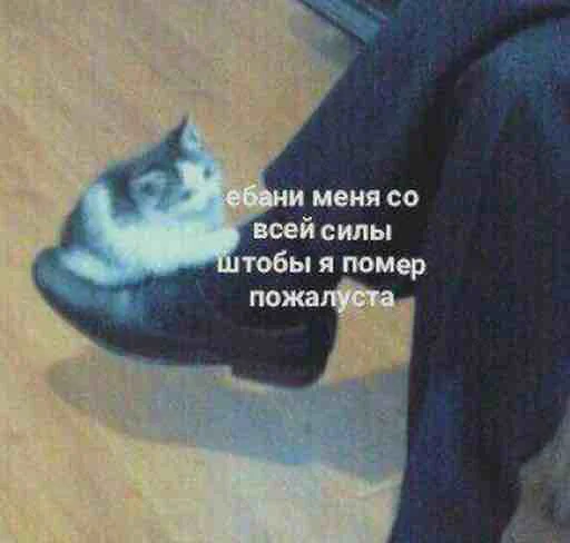 Pack by Mr. Jackson - 