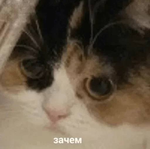 Sticker Pack by Mr. Jackson - 9