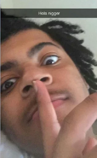 Sticker Pack Ice - 4