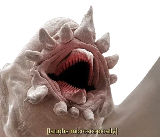 клык искусство