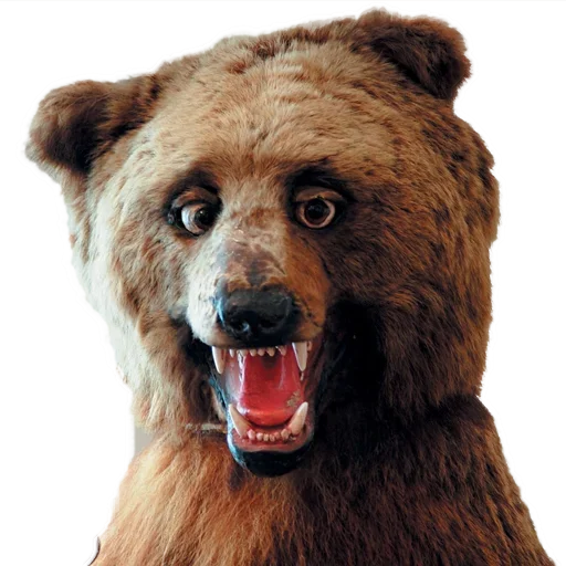 Sticker Пак Таксидермиста @stickerus - 6