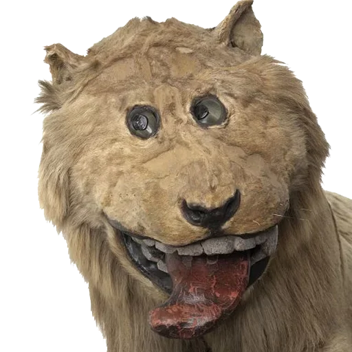 Sticker Пак Таксидермиста @stickerus - 3