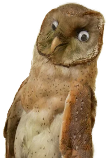 Sticker Пак Таксидермиста @stickerus - 0