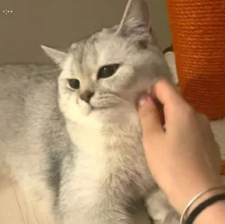 Sticker Packmam 2 |s| - 4