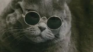 Sticker Packmam 2 |s| - 1