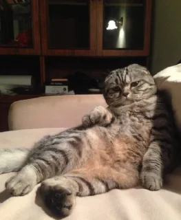 Sticker Packmam 2 |s| - 9