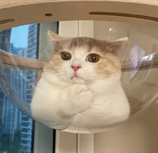 Sticker Packmam 2 |s| - 0