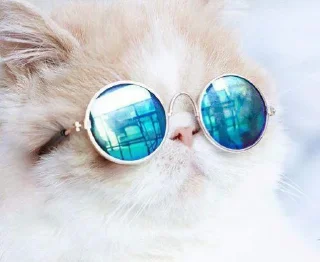 Sticker Packmam 2 |s| - 3