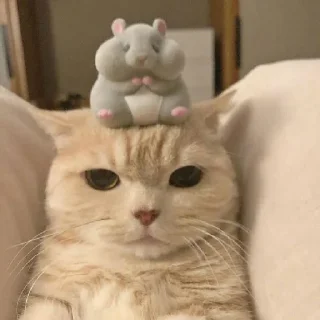 Sticker ଘ(੭ˊ꒳​ˋ)੭✧ - 9