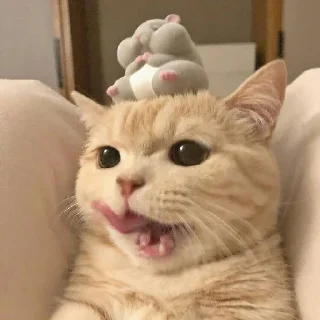 Sticker ଘ(੭ˊ꒳​ˋ)੭✧ - 8