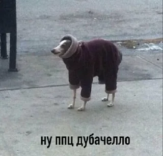 Sticker ଘ(੭ˊ꒳​ˋ)੭✧ - 5