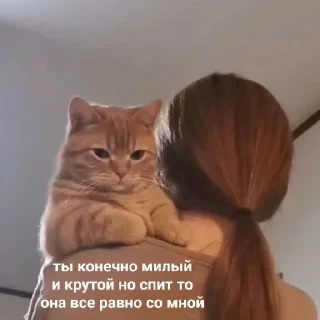 Sticker ଘ(੭ˊ꒳​ˋ)੭✧ - 4