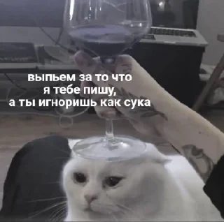 Sticker ଘ(੭ˊ꒳​ˋ)੭✧ - 3