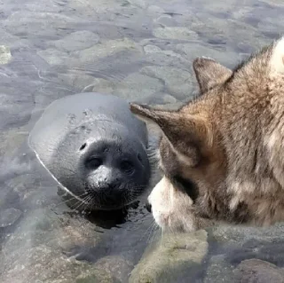 Sticker ଘ(੭ˊ꒳​ˋ)੭✧ - 10