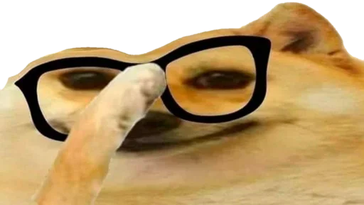 eyewear accessory spectacles