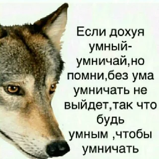 Sticker Хуяк - 2