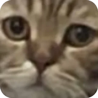 Стикер Пахан дички - 9