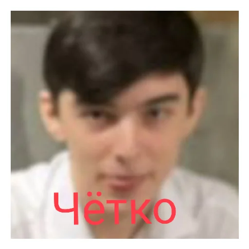 Sticker Pak11v13 - 1